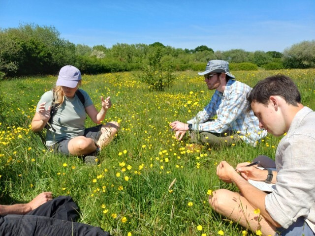 Natives at Marden