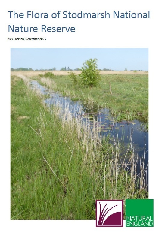 Stodmarsh